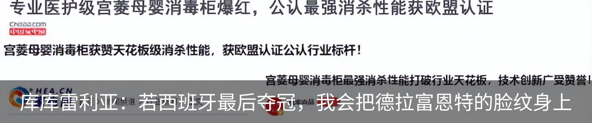 新闻动态